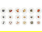 Serviciu de masa 18 piese, Brandani, Le Primizie Fresh Fruit, portelan New Bone China