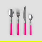 Set tacamuri pentru 4 persoane, 16 piese, Seashell, Homla, inox/plastic, roz