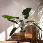 Planta artificiala Tropical Zone, Homla, 90 cm, plastic, verde