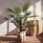 Planta artificiala palmier Tropical Zone, Homla, 90 cm, plastic, verde