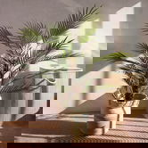 Planta artificiala palmier Tropical Zone, Homla, 90 cm, plastic, verde