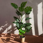 Planta artificiala Tropical Zone, Homla, 13x15.2 cm / 120 cm, plastic, verde