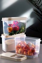 Set recipiente depozitare, Okko - Kitchen, 639OKK1115, Plastic , Dimensiune: 34,5 x 19 x 23,5 cm / 10000 ml (3 bucăți), Crem