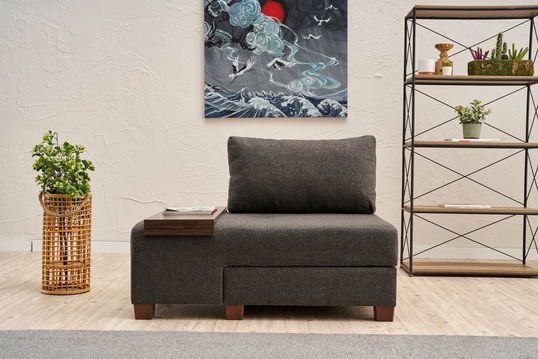Canapea extensibilă cu 1 loc, Balcab Home, 825BLC4716, Lemn, Antracit