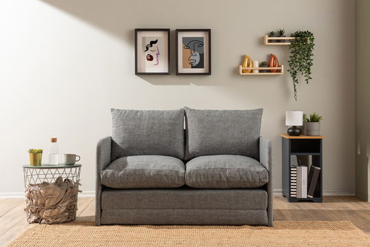 Canapea extensibilă cu 2 locuri, Futon, 859FTN2874, Metal , Gri deschis