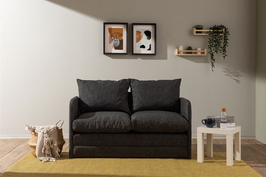 Canapea extensibilă cu 2 locuri, Futon, 859FTN2875, Metal , Gri inchis