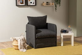Canapea extensibilă cu 1 loc, Futon, 859FTN2882, Metal , Gri inchis