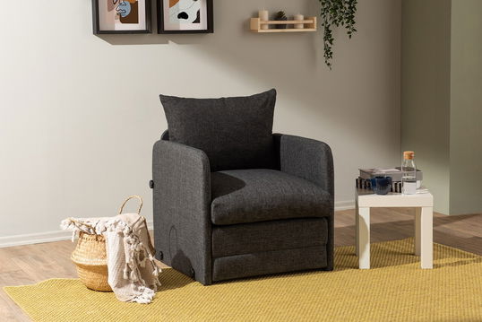 Canapea extensibilă cu 1 loc, Futon, 859FTN2882, Metal , Gri inchis