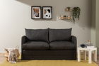 Canapea extensibilă cu 2 locuri, Futon, 859FTN2889, Metal , Gri inchis