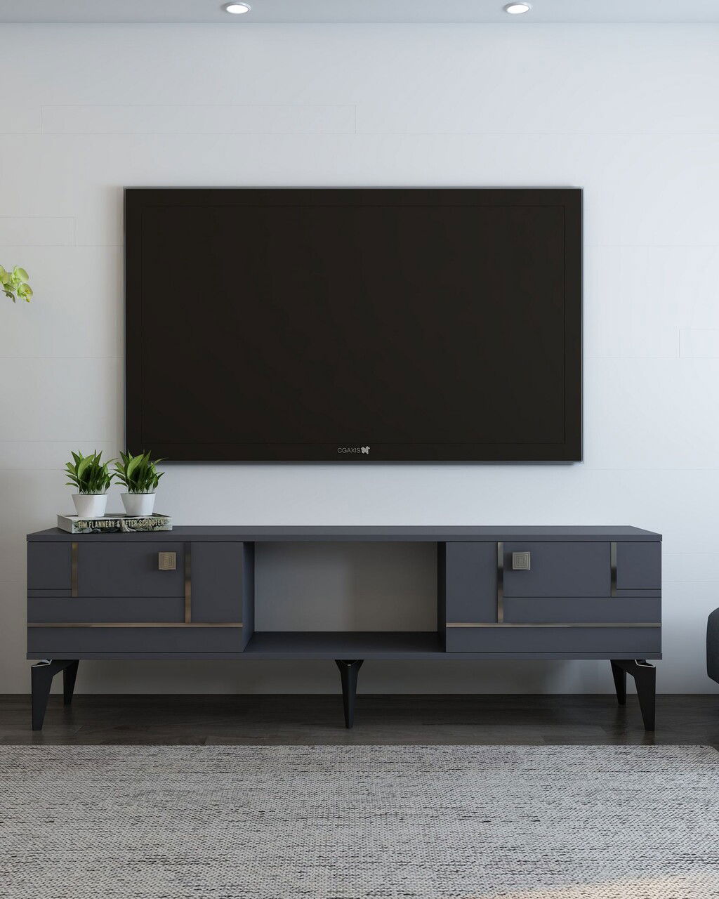 Comoda TV, Olivia, Madera, Antracit / Argintiu