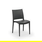Set scaune 4 piese, Tilia, Specto, Antracit