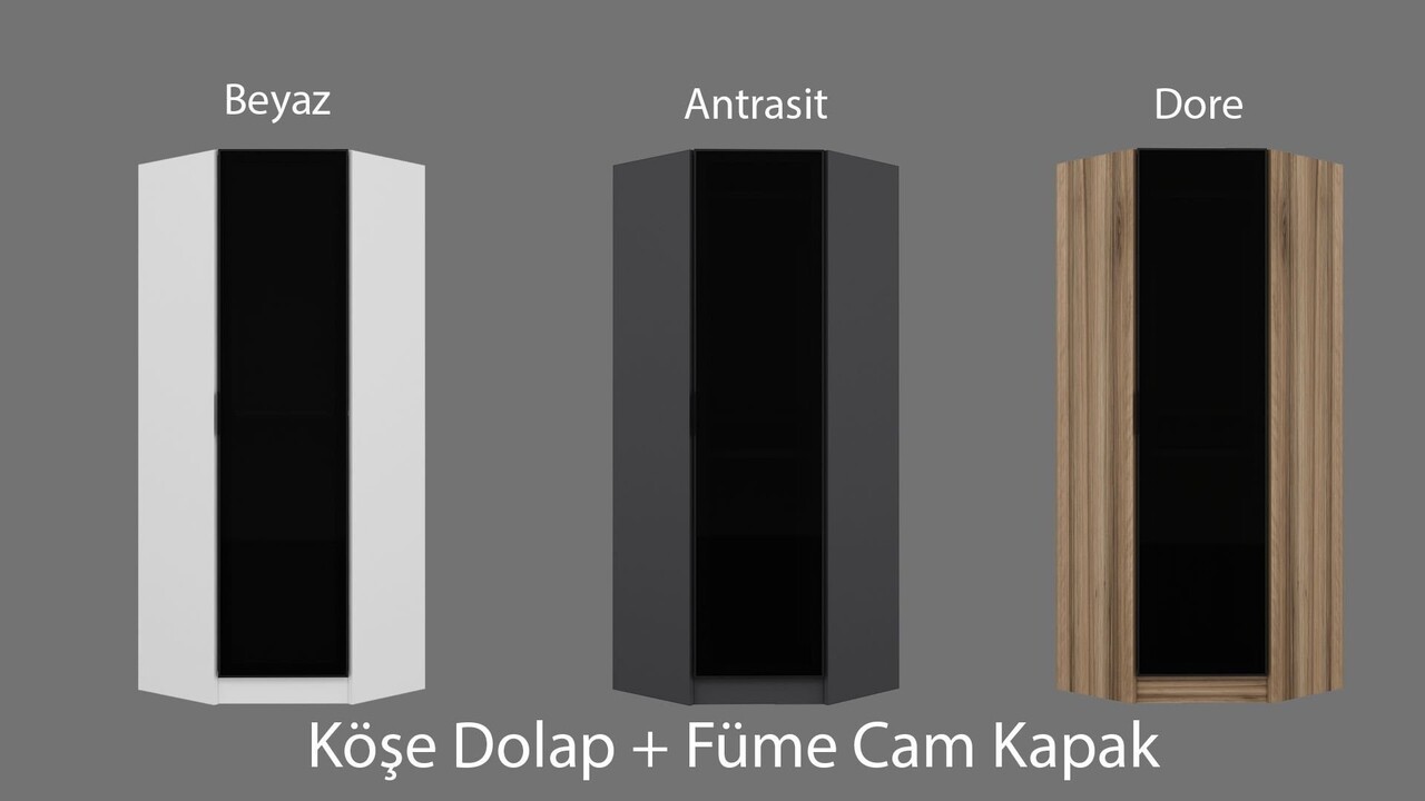 Dulap pentru haine, Minerva, Kale Glass Dark Grey3, 74x210x52 cm, PAL, Gri inchis