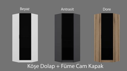Dulap pentru haine, Minerva, Kale Glass Dark Grey3, 74x210x52 cm, PAL, Gri inchis