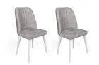 Set de scaune, Nmobb, Alfa-498 V2, Metal , Gri/Alb
