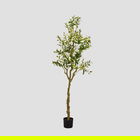 Planta artificiala Ailia, Homla, 180 cm, plastic, verde