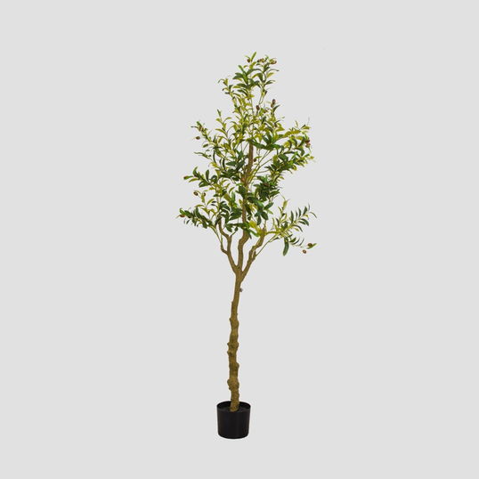Planta artificiala Ailia, Homla, 180 cm, plastic, verde