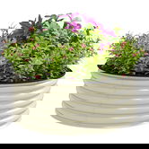 Outsunny ghiveci galvanizat pentru flori și plante, cu margine de siguranță și bază deschisă, 120x120x43 cm, alb crem | Aosom Romania