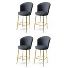 Set scaune de bar 4 piese, Charlotte, Fora, Metal, Antracit / Aur