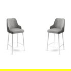 Set scaun de bar (2 bucăți), Charlotte, Enox, Metal, Gri/Alb