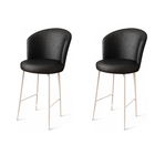 Set scaun de bar (2 bucăți), Charlotte, Uras, Metal, Alb/Negru