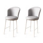 Set scaun de bar (2 bucăți), Charlotte, Uras, Metal, Gri/Alb