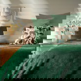 Cuvertura de pat Noah, Homla, 220x240 cm, poliester, verde