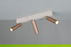 Plafoniera Ambala, TRIO, 44x4x17.5 cm, 5.5W, 3x SMD, metal, alb/aramiu