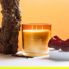 Lumanare parfumata Glow, Homla, 870 gr, ceara/sticla, auriu