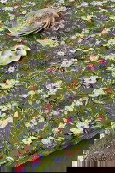 Fata de masa, SX - Kitchen, 626SRT1116, Poliester , Dimensiune: 160 x 260 cm (1 bucată), Verde