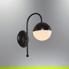 Aplica de perete, Lightric, 414LRC1784, Negru