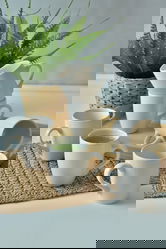 Set cani, Keramika, 275KRM2199, Ceramica , Nu absoarbe apa, Crem