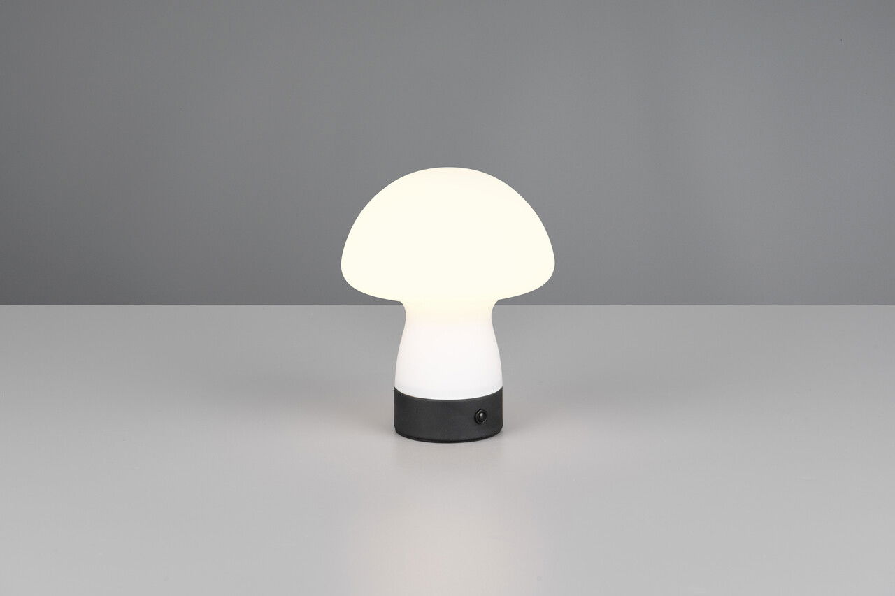 Lampa de masa Dooley, RL, 14x18 cm, 1.5W, 1x SMD, sticla, alb mat/negru