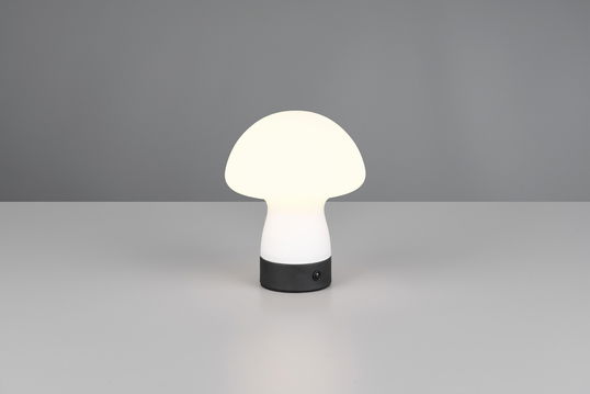 Lampa de masa Dooley, RL, 14x18 cm, 1.5W, 1x SMD, sticla, alb mat/negru