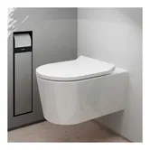 Vas wc Hansgrohe EluPura S AquaFall, fara capac, alb