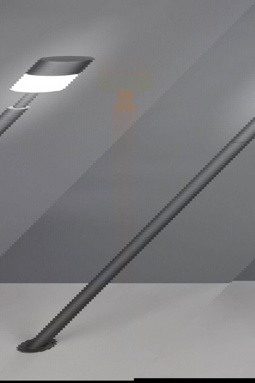 Lampadar de exterior Mackenzie, TRIO, 16.5x95 cm, 8W, 1x SMD, aluminiu, antracit