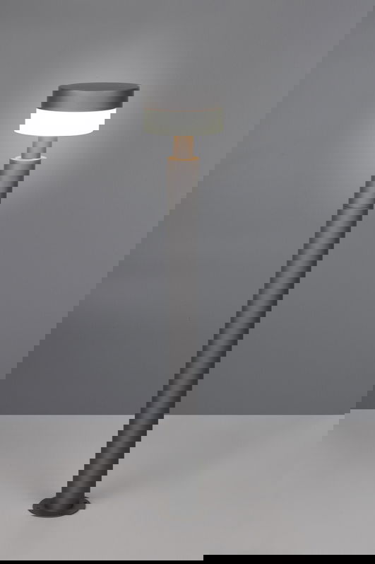 Lampadar de exterior Mackenzie, TRIO, 16.5x95 cm, 8W, 1x SMD, aluminiu, antracit