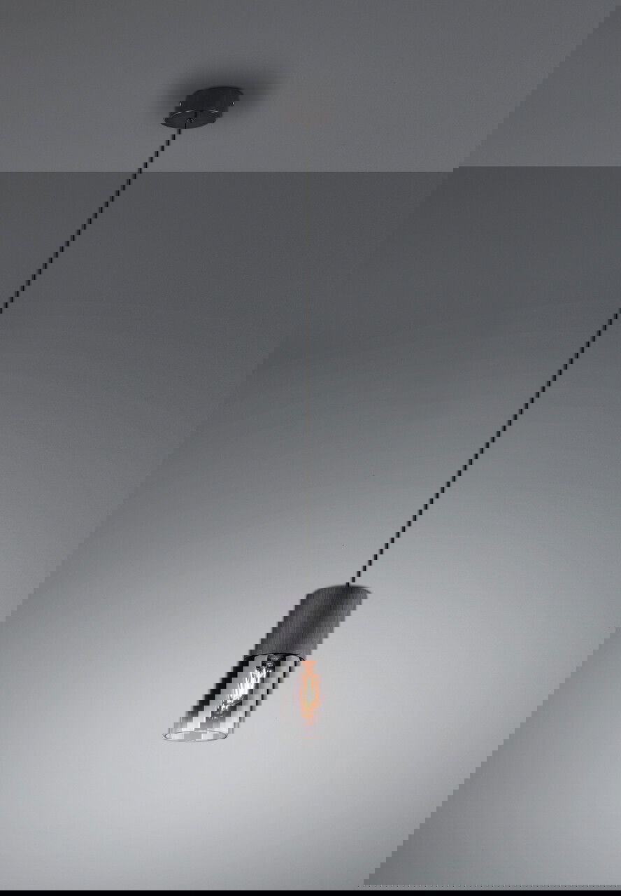 Lustra Robin, TRIO, 10x150 cm, 28W, 1x E27, metal, negru mat