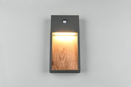 Aplica de perete pentru exterior cu senzor Salmon, TRIO, 16.5x33 cm, 11W, 1x SMD, aluminiu, antracit/natur