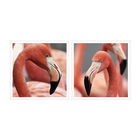 Tablou 2 piese Framed Art Flamingo Heads