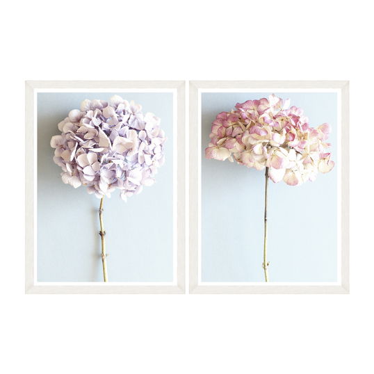 Tablou 2 piese Framed Art Hydrangeas