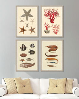 Tablou 4 piese Framed Art Marine Life Plates