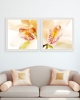 Tablou 2 piese Framed Art Orchid Close-up