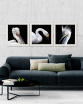 Tablou 3 piese Framed Art White Birds