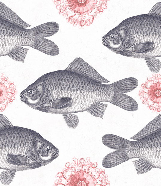 Set 3 role Tapet Imprimat Digital Fish Neutral
