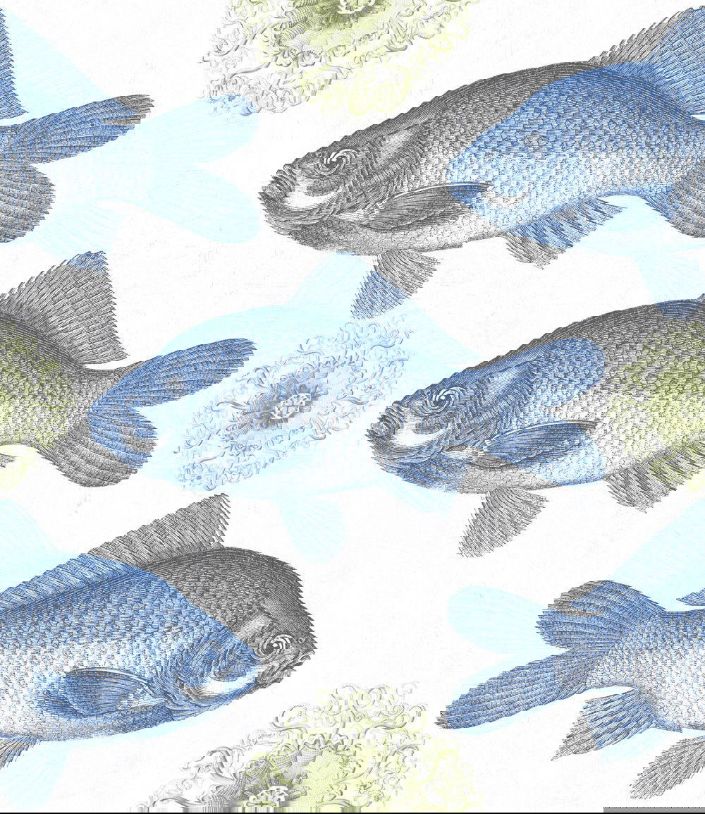 Set 3 role Tapet Imprimat Digital Fish Blue