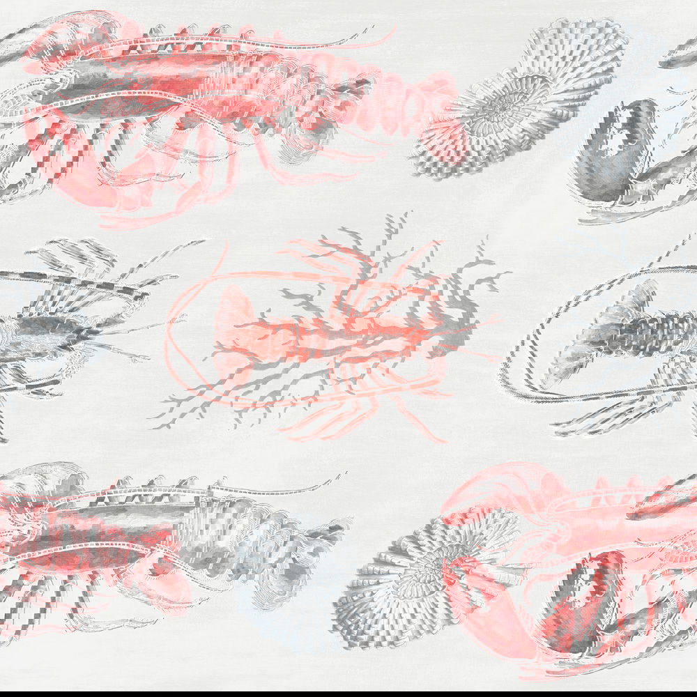Set 3 role Tapet Imprimat Digital Lobster