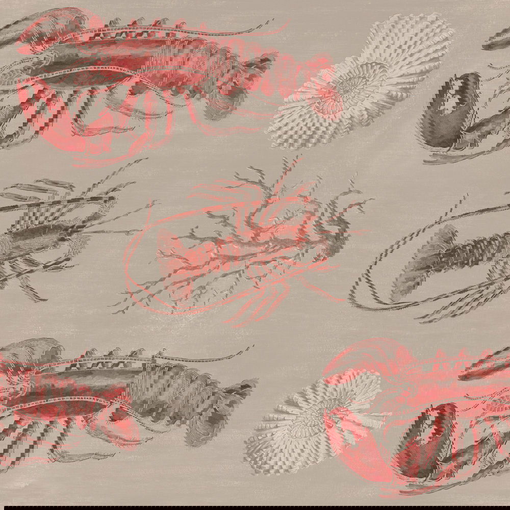 Set 3 role Tapet Imprimat Digital Lobster Taupe