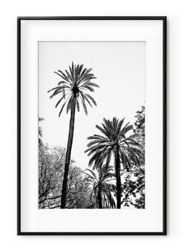 Tablou Grands Palmiers Aluminium Noir