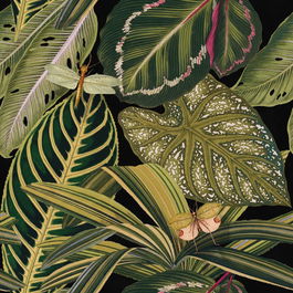 Set 3 role Tapet Imprimat Digital Amazonia
