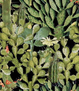 Set 3 role Tapet Imprimat Digital Opuntia Anthracite